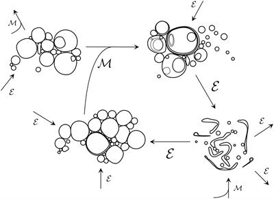 The Construction of Biological ‘Inter-Identity’ as the Outcome of a Complex Process of Protocell Development in Prebiotic Evolution